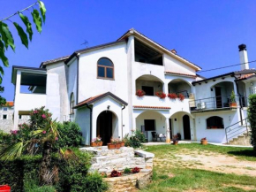 Apartment Complex Kanegra